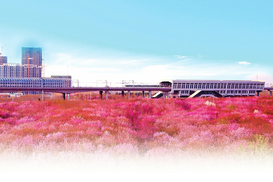 胸怀梦想多壮志 泉城地铁展新颜 ——写在济南轨道交通1号线运营一周年之际