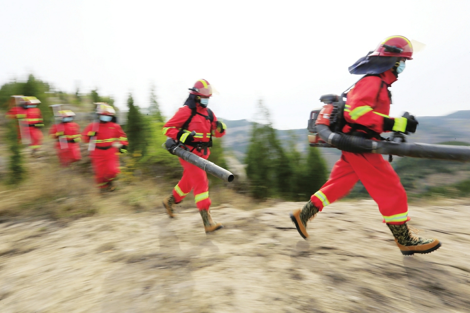 【森林防火 人人有责】筑牢森林防火安全屏障