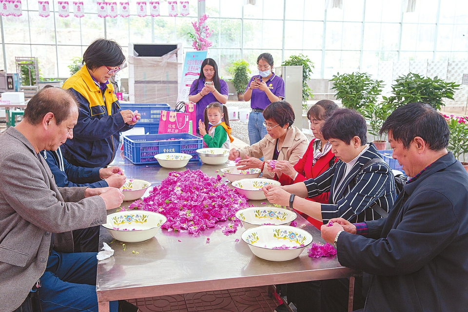 道德模范平阴赏玫瑰diy 鲜花饼送老人