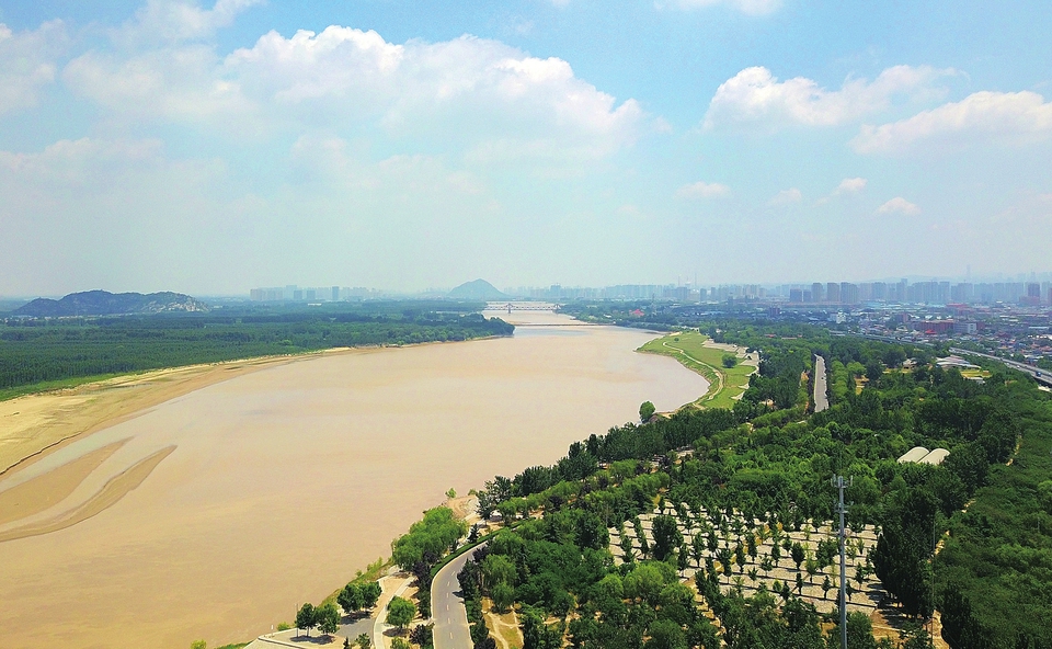黄河两岸绿化提升生态美
