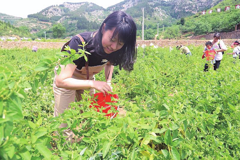 决战脱贫攻坚 决胜全面小康