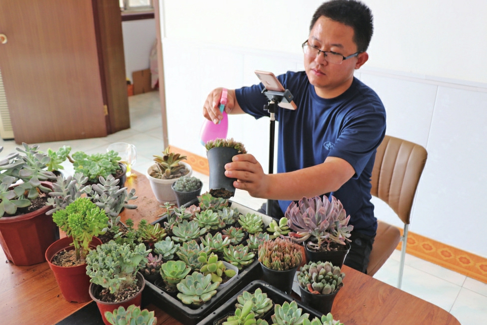 点亮创业梦 青春不散场