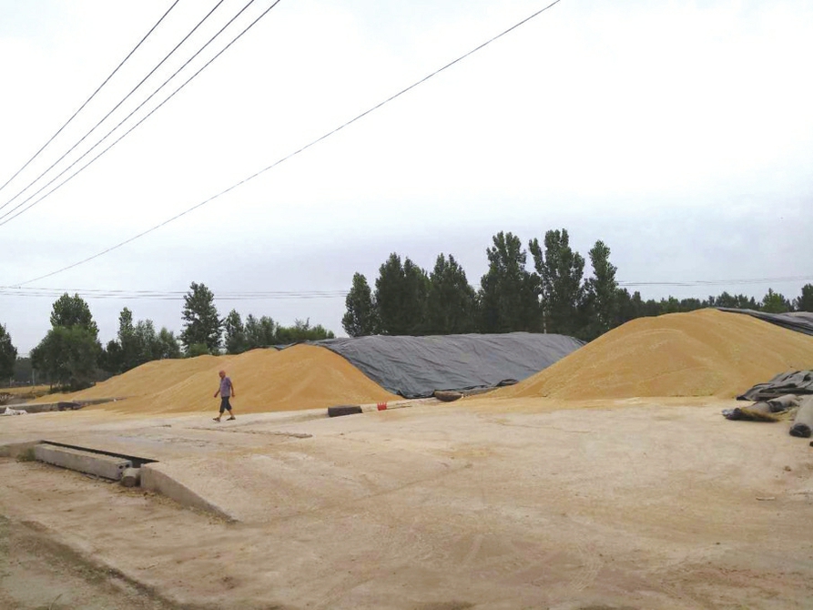 党旗飘扬激起城市发展新活力