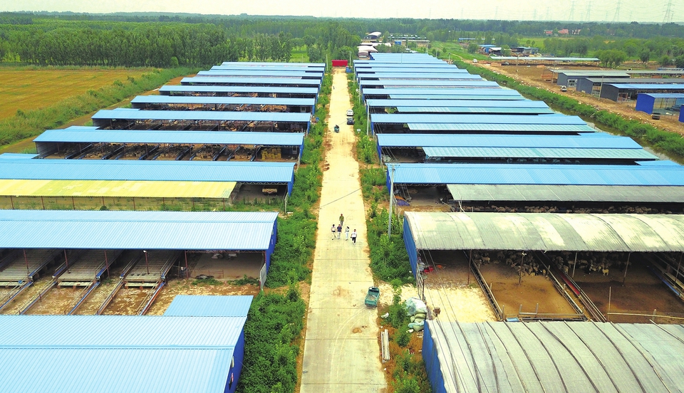 百名记者百村行