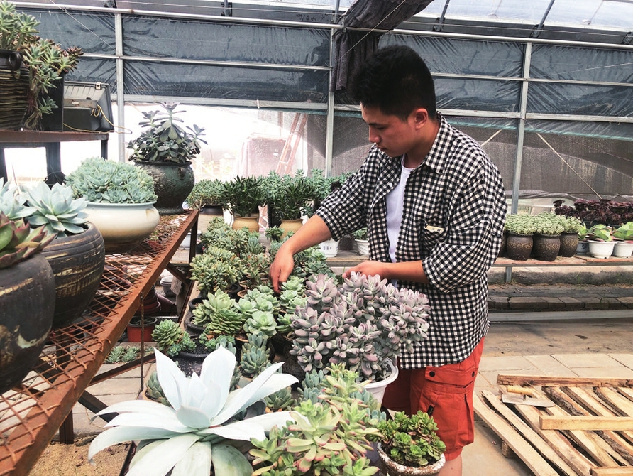 敢为人先闯新路 砥砺奋进做标杆 ——报告文学《涧溪春晓》引发三涧溪村干部群众热烈反响