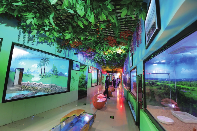 动物园 动物场馆改造提升全新亮相