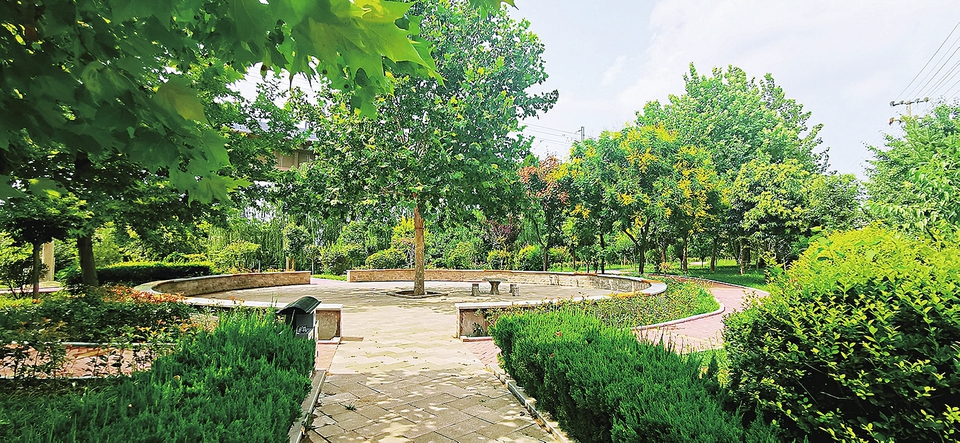 市中区打好农村人居环境整治攻坚战以更高标准抓好文明城市创建美丽
