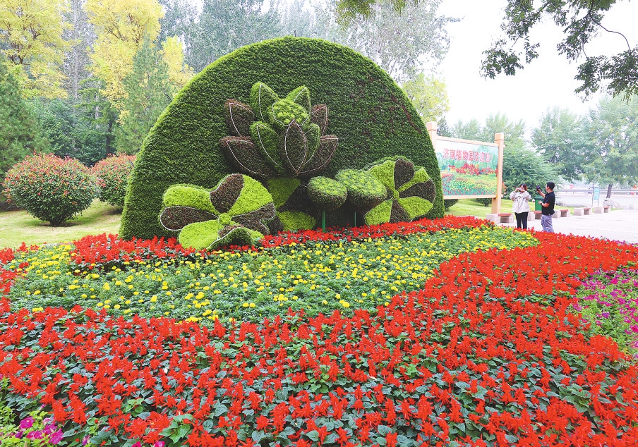 济南植物园：花团锦簇迎“双节”