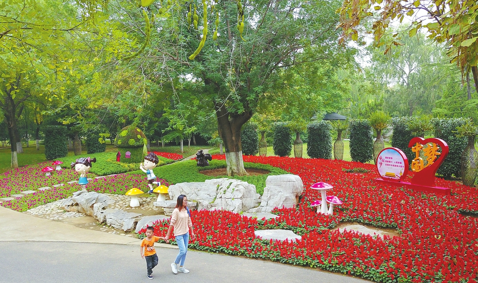 济南植物园：花团锦簇迎“双节”