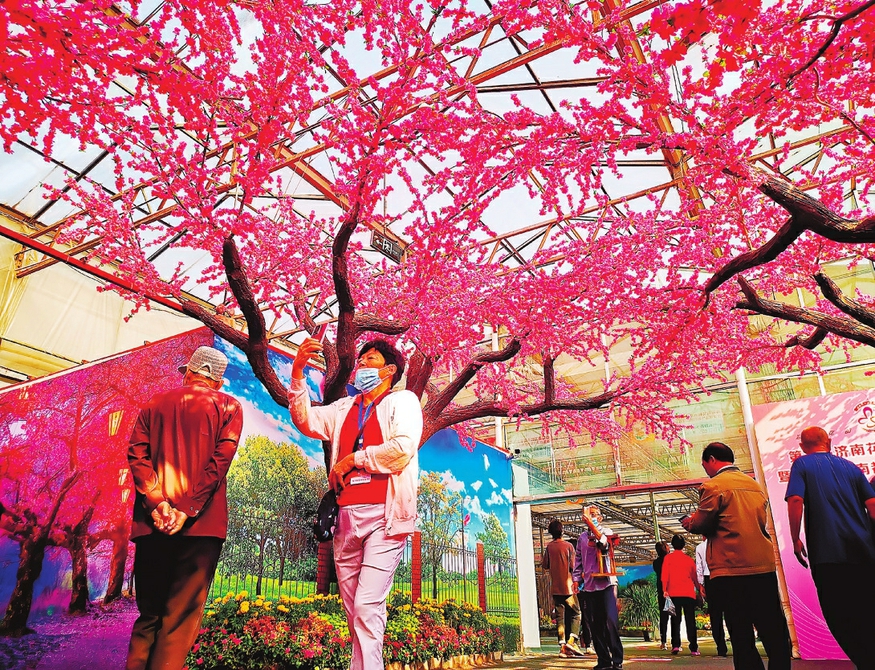 【花博看商河】花开商河 卉聚天下 “温泉花都”邀您共享花事盛宴