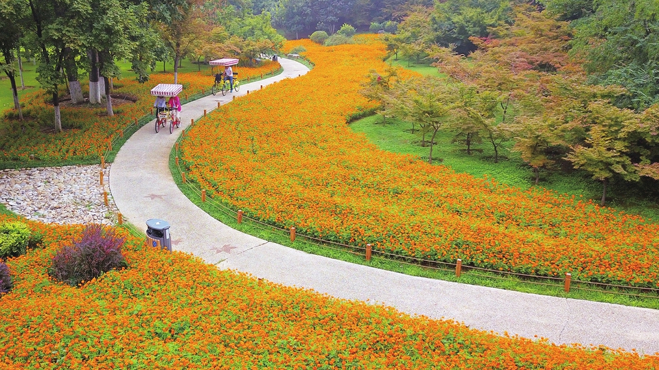 缤纷园艺迎国庆花海迷人植物园