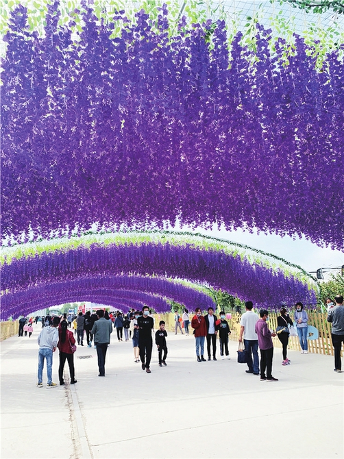 【花博看商河】花博会·线路 