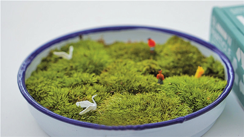 【花博看商河】在城市里拥有一块私人定制浪漫绿植 苔藓微景观圆你“草坪梦”