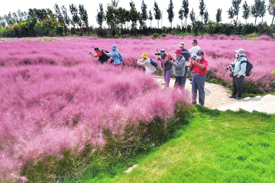 【花博看商河】商河打造“永不落幕”的花博会 让温泉花都享誉全国