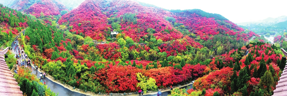 中国·济南泉乡康养产业发展论坛举行 专家学者齐聚南部山区共话济南康养产业发展