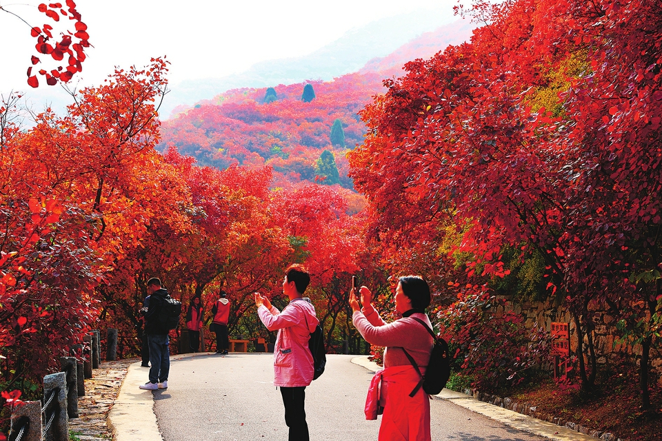 10月22日,游客在红叶谷景区观赏红叶.