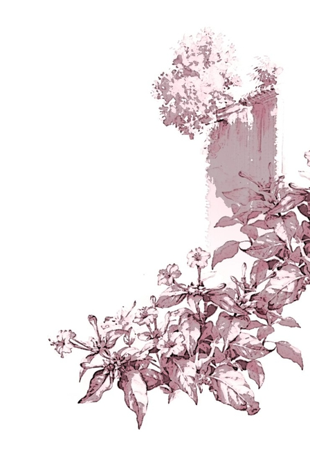 最是那一抹流长的回望