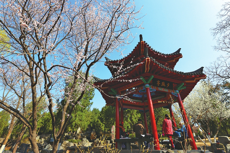 万物迎新春花笑 百鸟和鸣禽欢舞