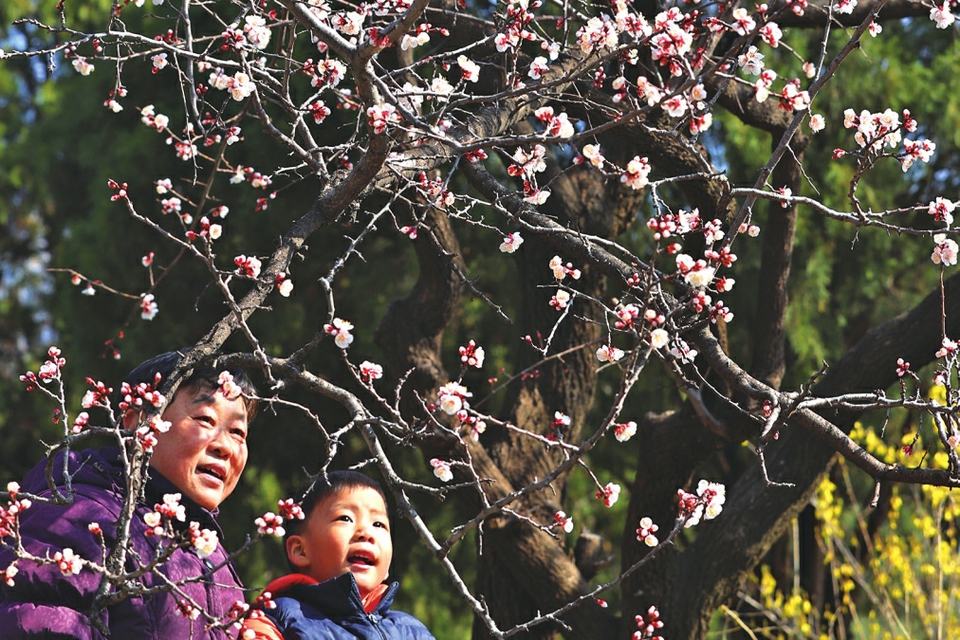 万物迎新春花笑 百鸟和鸣禽欢舞