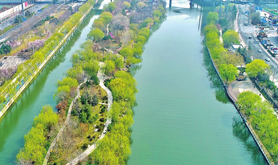 春风又绿清河岸