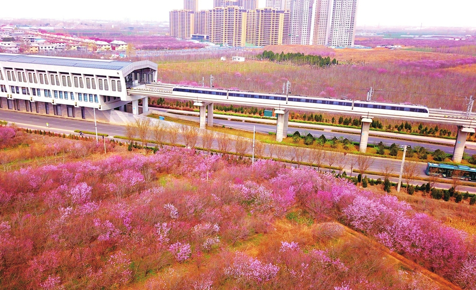 济南轨交迎来最美季节