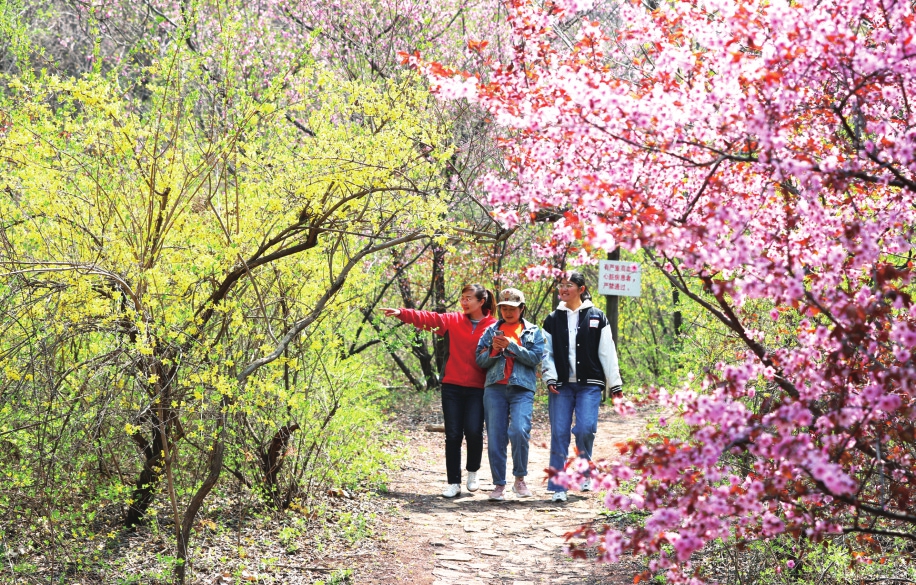 鸟语花香好春色 如诗如画红叶谷