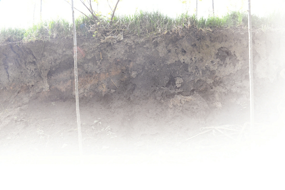 春秋时齐鲁“平州之会”在何处