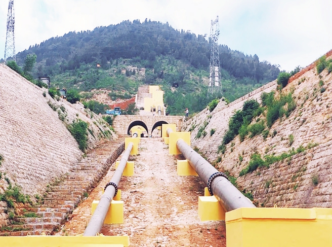 家住黄河边丨平阴旱山沟何以变得山清水秀？