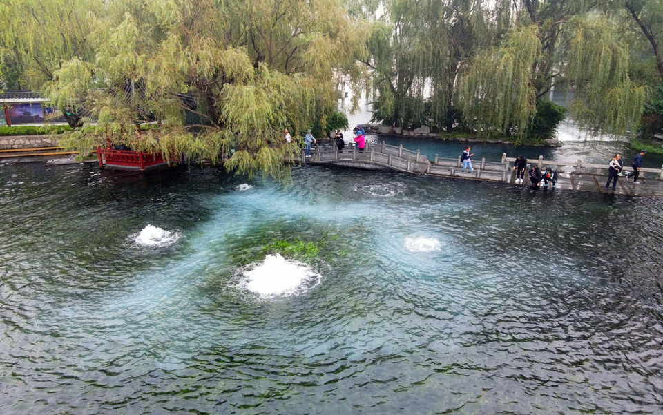 济南绽放如花梅花泉