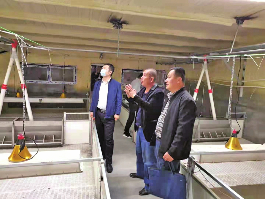 聚焦“急难愁盼”问题 打通服务居民“最后一公里” 给力！政务服务“送”到百姓家门口