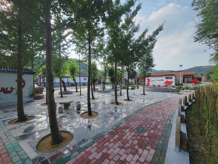 聚焦聚力,打牢基础 莱芜区党建引领推进乡村全面振兴