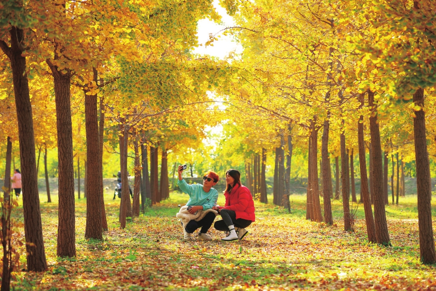 观秋色浸染赏山泉河湖有一种美景叫济南的秋天