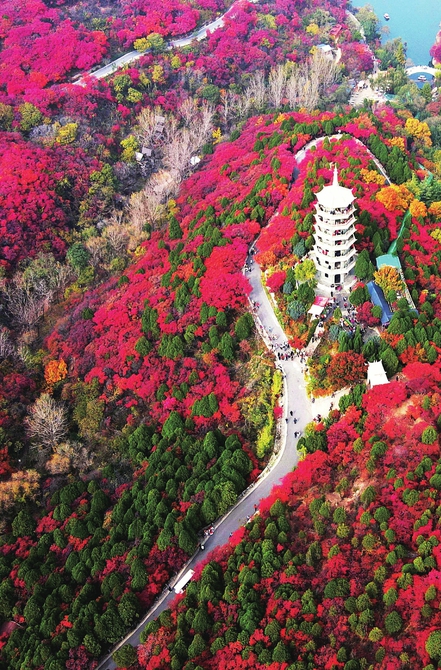 观秋色浸染赏山泉河湖 有一种美景叫济南的秋天