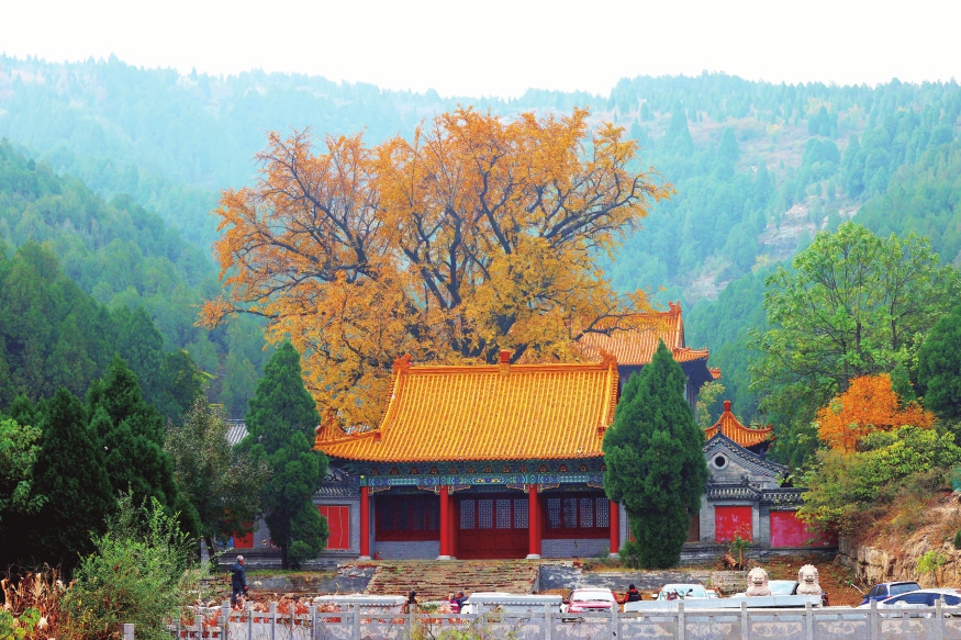 观秋色浸染赏山泉河湖 有一种美景叫济南的秋天