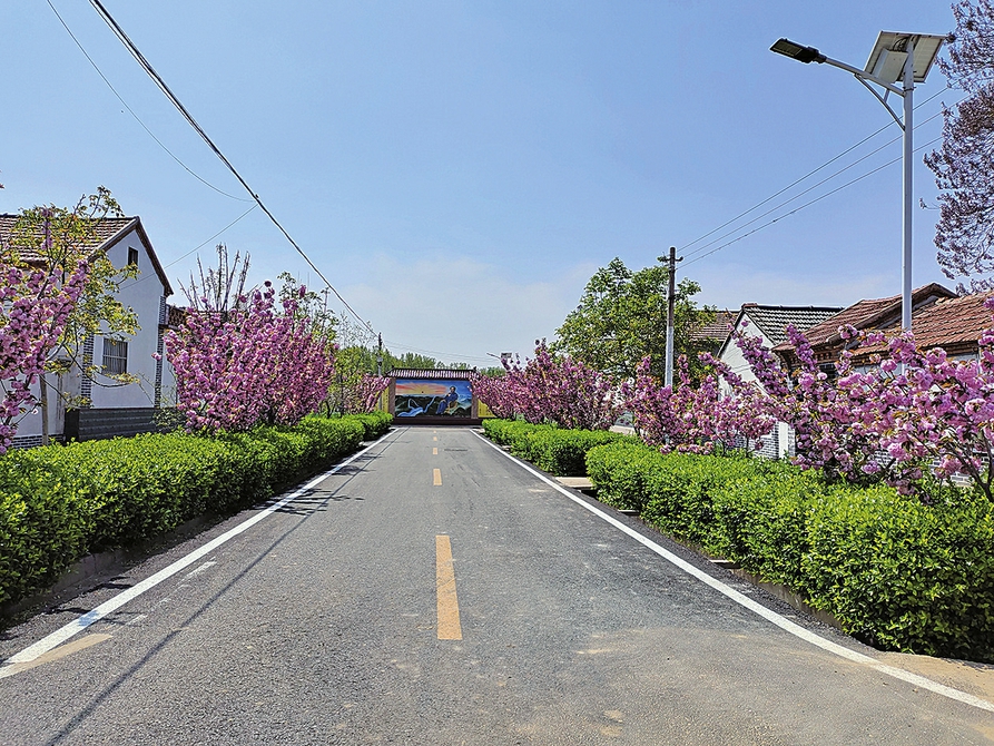 杨庄镇下马家泉村： 树牢党建主心骨 聚力乡村新提升