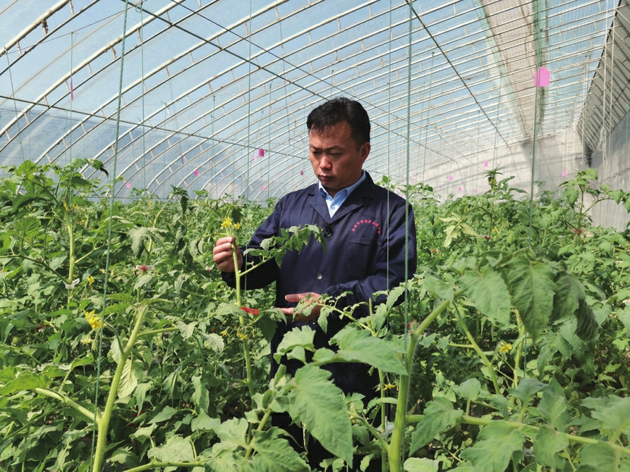 爱农业、懂技术、善经营——绿领新农人 致富视野宽