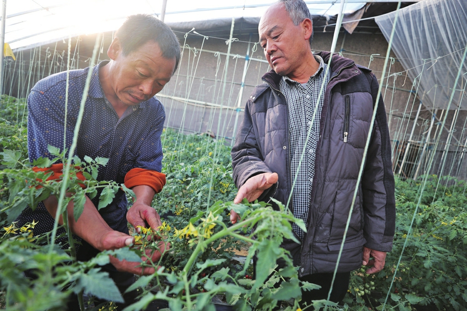 融媒·见证｜这里的地“不够种”——“亿元村”三步走