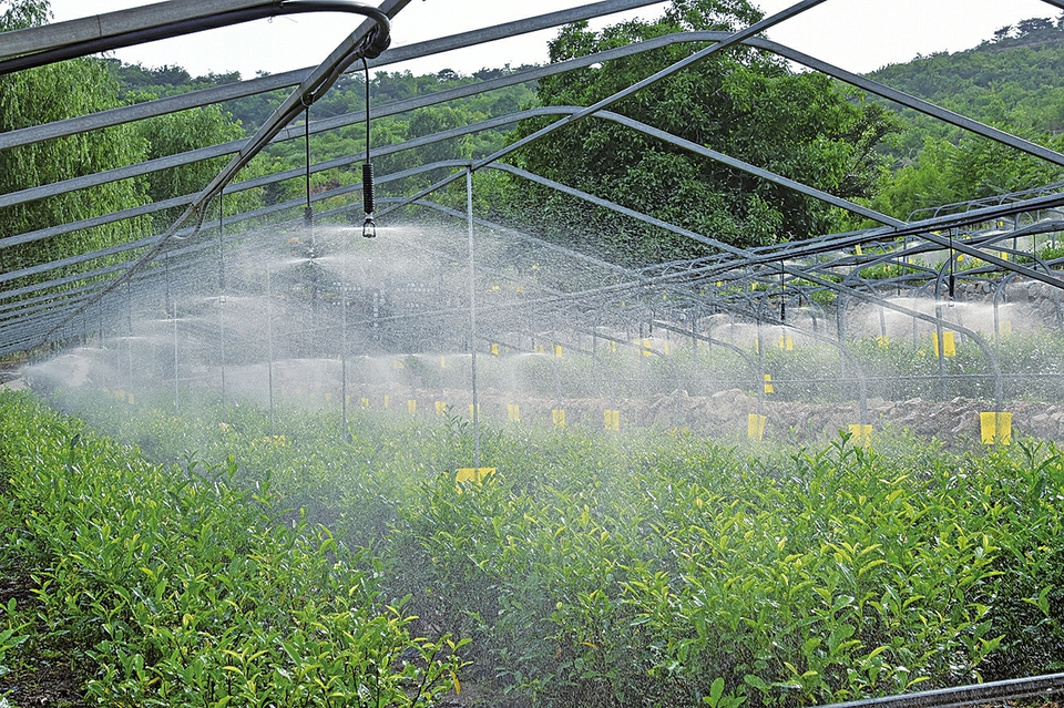 济南：水肥一体化绿色赋能乡村全面振兴