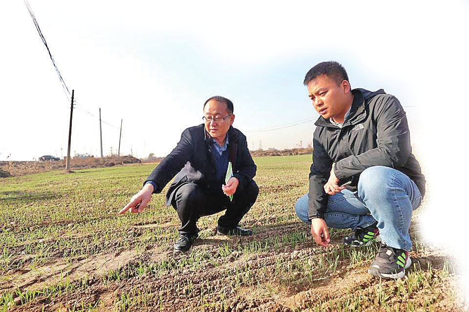 融媒·见证丨这里的“田管家”住进手机里——别了，纸上谈田