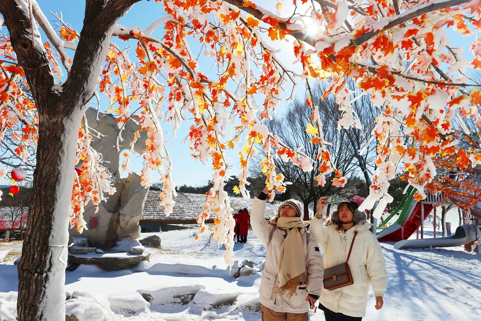 雾凇、萌宠、恐龙，沉浸式冰雪主题乐园 走 ，到跑马岭·齐鲁雪乡玩雪去