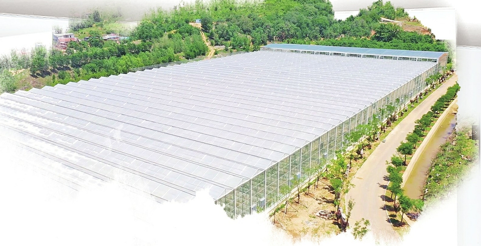 济南破局农地入市 唤醒沉睡资源