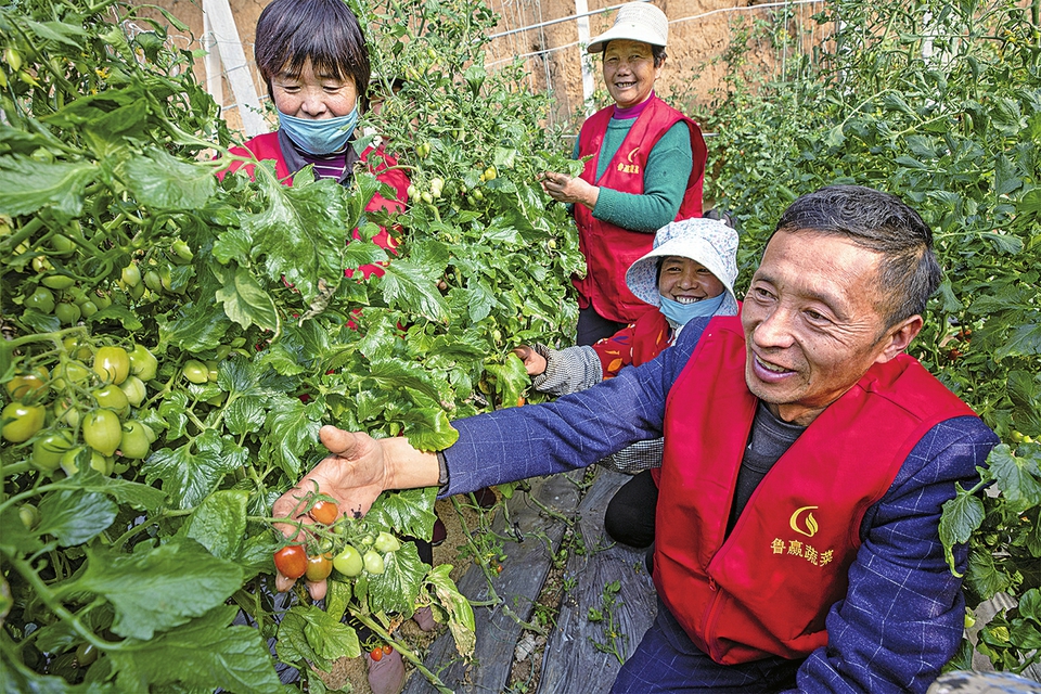 走进大棚讲“两会”