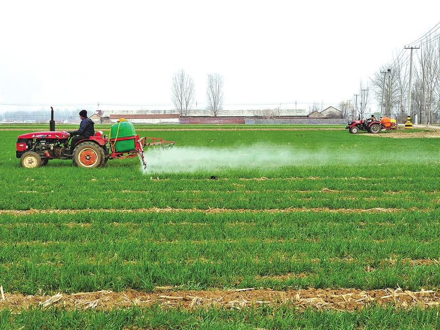 莱芜区农业农村局扛好“米袋子”拎稳“菜篮子”