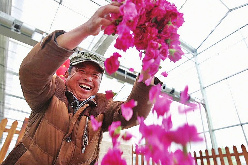 融媒·见证｜当年的市花主产地，如今的艺术聚集区——老村玫瑰发新枝