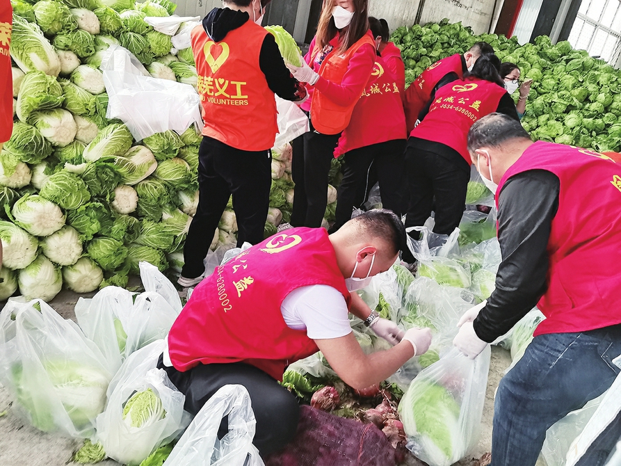 莱芜区青年突击队在行动 4小时分拣打包29吨蔬菜