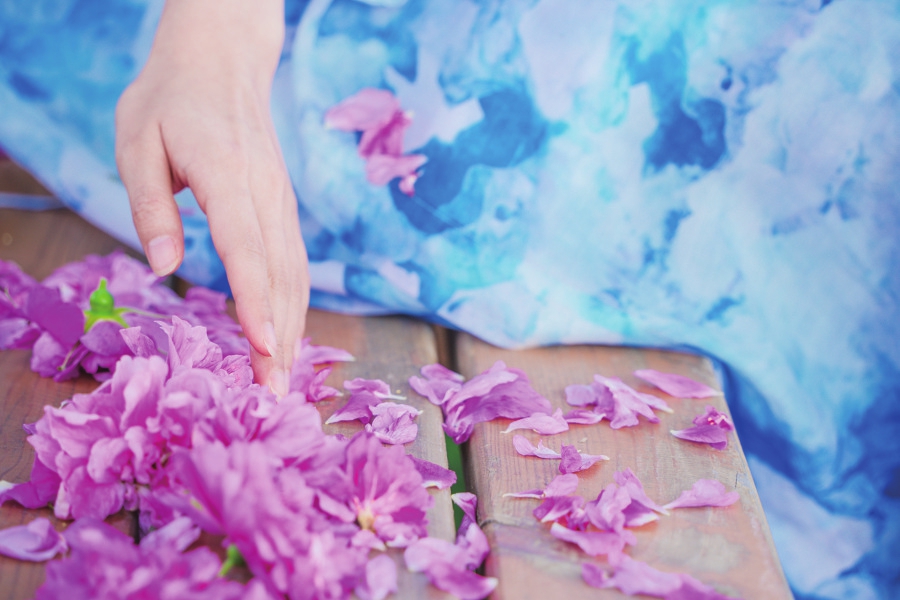 云赏玫瑰 ——人间何来此尤物？应是踏月瑶池来