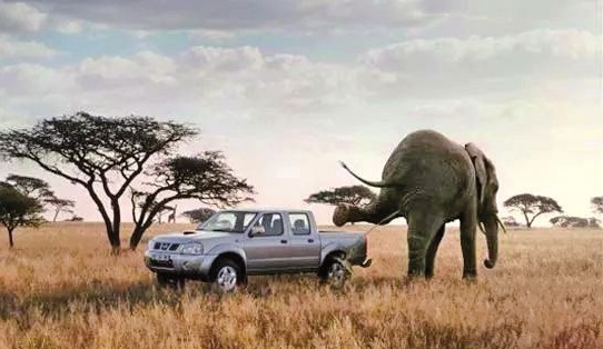 “差艺术家模仿，好艺术家窃取”？