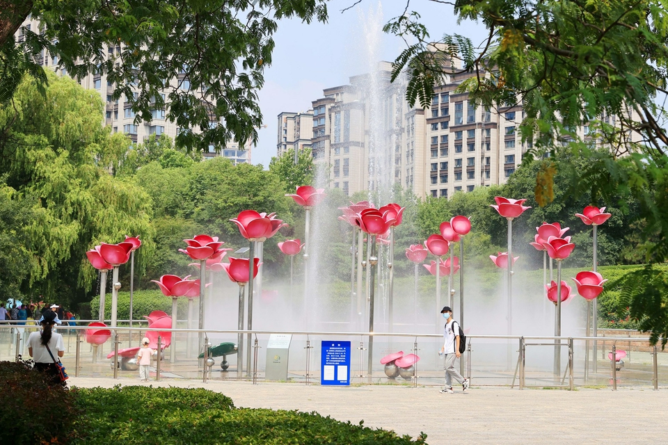 玫瑰花语清凉“绽放”