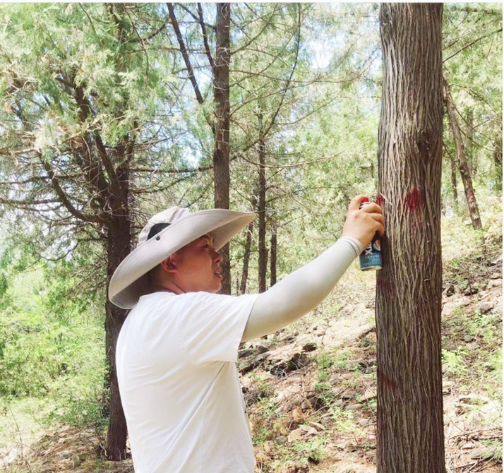 林木调查用上新技术