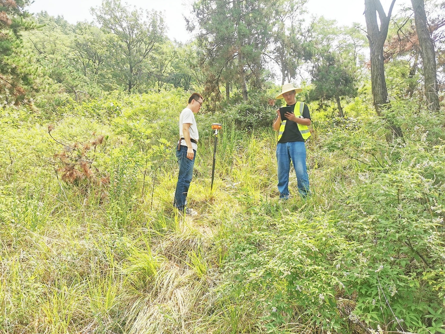 林木调查用上新技术